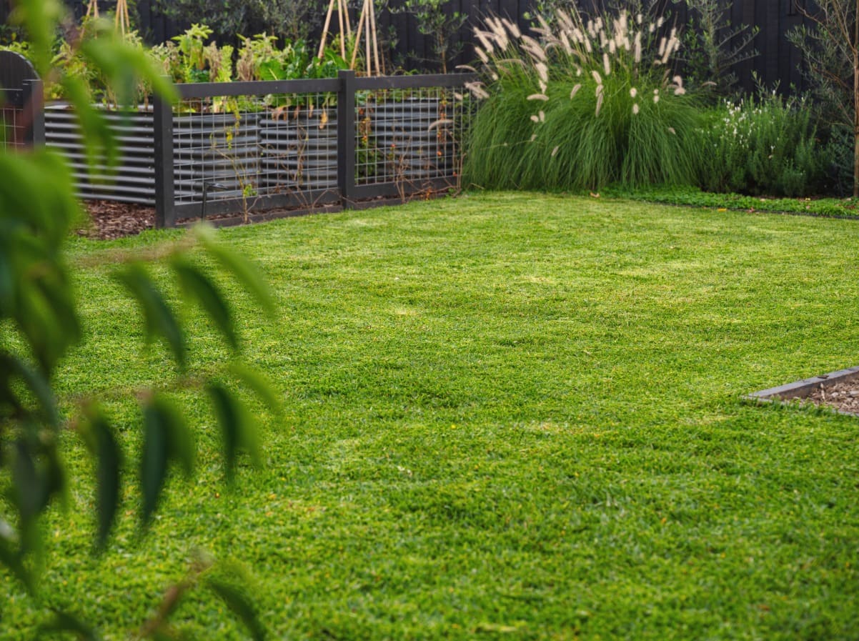 Before - Empty backyard